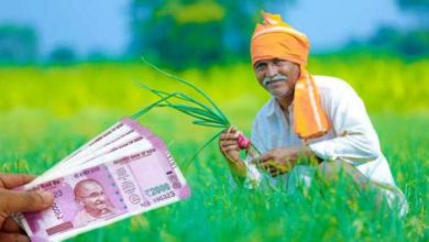Photo of पीएम किसान के 4000 रुपये नहीं आए खाते में? तुरंत करें ये काम, मिलेगा फायदा