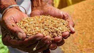 Photo of राशन कार्ड धारकों के लिए जरूरी खबर, महीने में दो बार मुफ्त में गेहूं और चावल का उठा सकेंगे लाभ