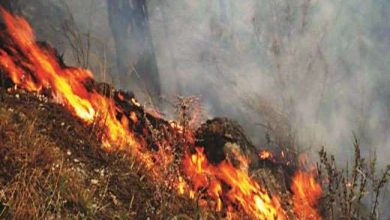 Photo of उत्‍तराखंड में गर्मी बढ़ने के साथ ही बढ़ी जंगलों में आग की घटनाएं,वन संपदा को पहुंचा भारी नुकसान