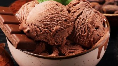 Photo of गर्मी में घरवालों के लिए जरूर बनाए स्पेशल चॉकलेट आइसक्रीम,देखें ये लाजवाब रेसिपी