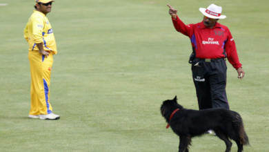 Photo of अगर मैच के दौरान क्रिकेट के मैदान पर घुसा कुत्ता तो अंपायर करेंगे ये इशारा,बदल गया है नियम