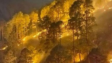 Photo of उत्‍तराखंड में जंगल की आग हुई और भी भयानक,बढ़ती आग की घटनाओं को देखते हुए सरकार हुई सतर्क 