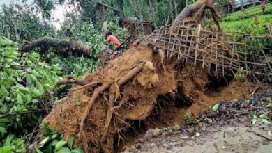 Photo of असम में मौसम ने बदली करवट,तूफान और भारी बारिश से 14 लोगों की हुई मौत