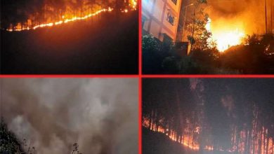 Photo of उत्तराखंड के जंगलों में आग हुई विकराल,तीन दिन से धधक रहे लैंसडौन के जंगल,देखें ये तस्वीरें 