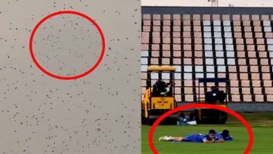 Photo of मधुमक्खियों ने मुंबई इंडियंस के खिलाड़ियों पर किया हमला,देखे ये वीडियो