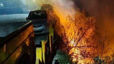 Photo of उत्तराखंड में जंगल की आग बेकाबू ,नैनीताल में भवन और सड़क किनारे खड़े वाहनों तक पहुंची जंगल की आग