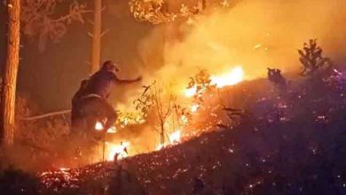 Photo of उत्‍तराखंड में जंगलों में आग का कोहराम जारी ,सेना भी आग बुझाने में जुटी,आबादी क्षेत्रों को खतरा