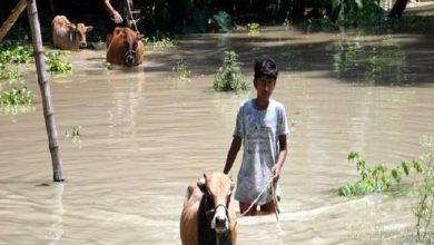 Photo of असम में बाढ़ का कहर जारी,7 लाख लोग प्रभावित, 9 लोगों की हुई मौत,कछार में दो दिन के लिए स्कूल-कालेज बंद
