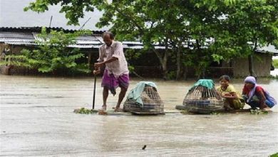 Photo of असम में भारी बारिश और बाढ़ से भारी तबाही,250 गांव प्रभावित, लगभग 20 हजार लोगों को राहत शिविर में दिया गया आश्रय