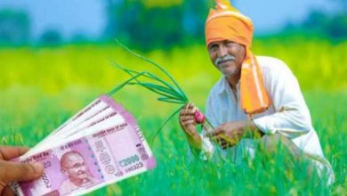 Photo of किसानों को अब हर महीने मिलेंगे 3,000 रुपये, जल्दी उठाएं फायदा; जानिए कैसे उठाये इस योजना का लाभ 