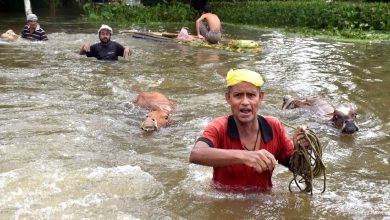 Photo of देश के नार्थ-ईस्ट राज्यों में बाढ़ और भूस्खलन ने भारी तबाही, कई लोगों की हुई मौत, जानें ताजा हालात