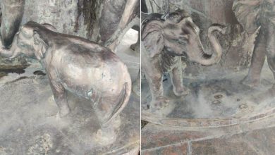 Photo of लखनऊ में गोमतीनगर स्‍थ‍ित अंबेडकर पार्क से हाथी की मूर्त‍ियां चोरी होने का मामला आया सामने, पूर्व मुख्‍यमंत्री सरकार पर साधा निशाना