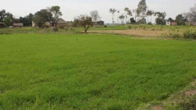 Photo of उत्तराखंड में जमीनों की खरीद-फरोख्त में आईकाफी तेजी, पढ़े पूरी खबर