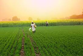 Photo of कृषि के क्षेत्र में एक बड़ा बदलाव होने जा रहा,मनसुख मंडाविया ने दी जानकारी