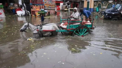 Photo of पाकिस्तान में भारी बारिश, बाढ़ के कारण इतने लोगों की मौत