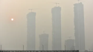 Photo of बिहार में लगातार बढ़ता जा रहा वायु प्रदूषण, एक्यूआई 400 के पार