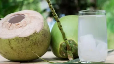 Photo of सेहत के लिए बेहद फायदेमंद है नारियल पानी, मिलेंगे ये बड़े फायदे…