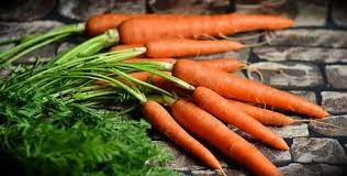 Photo of जरूरत से ज्यादा गाजर आपके लिए हानिकारक साबित हो सकती है, यहां जानिए नुक्सान ..