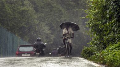 Photo of दिल्ली, उत्तराखंड समेत उत्तर भारत के कई राज्यों में बारिश ने गिराया पारा