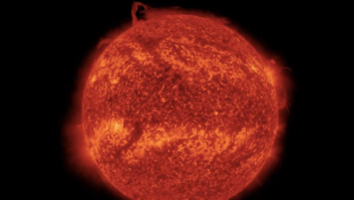 Photo of क्या सूर्य का एक बड़ा हिस्सा टूट गया है ? सच्चाई जान वैज्ञानिक हैरान, पृथ्वी पर क्या होगा इसका प्रभाव ?