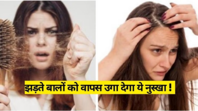 Photo of Hair Fall Treatment: Hair Fall के लिए ऐसे इस्तेमाल करें भृंगराज, नहीं पड़ेगी महंगे एंटी हेयरफॉल शैंपू की जरूरत