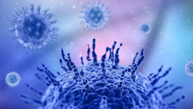 Photo of Influenza virus H3N2: कोरोना की तरह फैल रहा है देश में इन्फ्लूएंजा वायरस H3N2, जानें कैसे करें बचाव