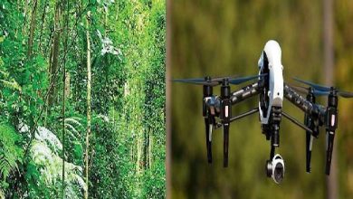 Photo of प्रदेश के बीहड़ वन क्षेत्रों में ड्रोन सीडिंग का कार्य कल से
