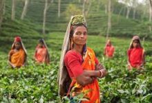 Photo of बी.सी सखी के रूप में काम कर स्वावलंबी व आत्मनिर्भर बन रही है, ग्रामीण महिलाएं