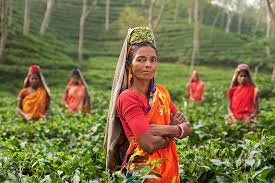 Photo of बी.सी सखी के रूप में काम कर स्वावलंबी व आत्मनिर्भर बन रही है, ग्रामीण महिलाएं