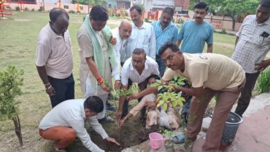 Photo of ममता चैरिटेबल ट्रस्ट के तत्वाधान में “एक पेड़ माॅ के नाम” वृक्षारोपण कार्यक्रम का आयोजन।