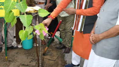 Photo of “मुख्यमंत्री नायब सिंह सैनी ने पानीपत में निरंकारी सेवा मिशन के कार्यक्रम में 21 हजार पौधे रोपे”