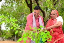 Photo of ‘हरियालो राजस्थान’ अभियान: 5 साल में लगेंगे 50 करोड़ पेड़