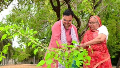 Photo of ‘हरियालो राजस्थान’ अभियान: 5 साल में लगेंगे 50 करोड़ पेड़