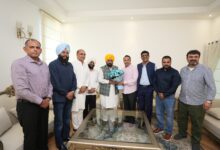 Photo of पंजाब में ग्रामीण क्रिकेट को बढ़ावा