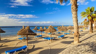 Photo of Spain Is Passion: Tenerife