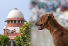 Photo of सुप्रीम कोर्ट का बड़ा आदेश — स्कूलों, बस स्टैंड से हटाए जाएं आवारा कुत्ते