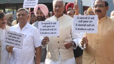 Photo of पंजाब की सांप्रदायिक सद्भावना तोड़ने की साजिश कर रही आप : सुनील जाखड़