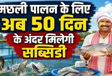 Photo of मत्स्य पालन को बढ़ावा देने के लिए यूपी सरकार का बड़ा फैसला