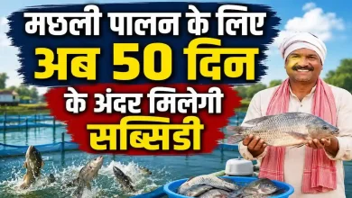 Photo of मत्स्य पालन को बढ़ावा देने के लिए यूपी सरकार का बड़ा फैसला