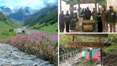 Photo of पर्यटकों के लिए खुली विश्व प्रसिद्ध फूलों की घाटी, रंग-बिरंगे फूलों से सजा हिमालय का अद्भुत नज़ारा