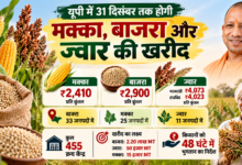 Photo of यूपी में 31 दिसंबर तक होगी मक्का, बाजरा और ज्वार की खरीद, किसानों को 48 घंटे में भुगतान के निर्देश