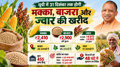 Photo of यूपी में 31 दिसंबर तक होगी मक्का, बाजरा और ज्वार की खरीद, किसानों को 48 घंटे में भुगतान के निर्देश